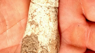 6,000-year-old stone penis unearthed in Israel